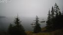 ./images/quadra/bluff/20250325/bluff20250325_122009M.jpg