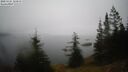 ./images/quadra/bluff/20250325/bluff20250325_123010M.jpg