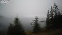 ./images/quadra/bluff/20250325/bluff20250325_133010M.jpg