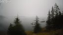 ./images/quadra/bluff/20250325/bluff20250325_134509M.jpg