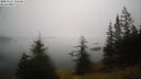 ./images/quadra/bluff/20250325/bluff20250325_135507M.jpg