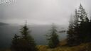 ./images/quadra/bluff/20250516/bluff20250516_084510M.jpg