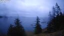 ./images/quadra/bluff/20250519/bluff20250519_054508M.jpg