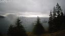 ./images/quadra/bluff/20250519/bluff20250519_081011M.jpg
