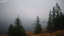 ./images/quadra/bluff/20250814/bluff20250814_202010M.jpg