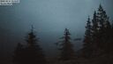 ./images/quadra/bluff/20250814/bluff20250814_211507M.jpg