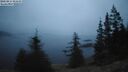 ./images/quadra/bluff/20250815/bluff20250815_054509M.jpg