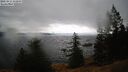 ./images/quadra/bluff/20250815/bluff20250815_142010M.jpg