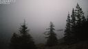 ./images/quadra/bluff/20260205/bluff20260205_071001M.jpg