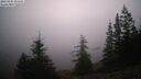./images/quadra/bluff/20260205/bluff20260205_071501M.jpg