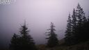 ./images/quadra/bluff/20260205/bluff20260205_072501M.jpg