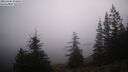 ./images/quadra/bluff/20260205/bluff20260205_073001M.jpg