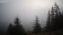 ./images/quadra/bluff/20260205/bluff20260205_073501M.jpg