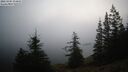 ./images/quadra/bluff/20260205/bluff20260205_074001M.jpg