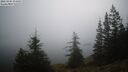 ./images/quadra/bluff/20260205/bluff20260205_075002M.jpg