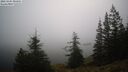 ./images/quadra/bluff/20260205/bluff20260205_080001M.jpg