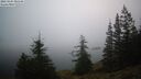 ./images/quadra/bluff/20260205/bluff20260205_080501M.jpg