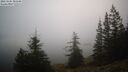 ./images/quadra/bluff/20260205/bluff20260205_081001M.jpg
