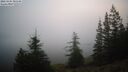 ./images/quadra/bluff/20260205/bluff20260205_081501M.jpg