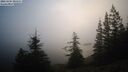 ./images/quadra/bluff/20260205/bluff20260205_083501M.jpg