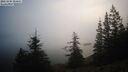 ./images/quadra/bluff/20260205/bluff20260205_084001M.jpg