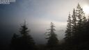 ./images/quadra/bluff/20260205/bluff20260205_095001M.jpg