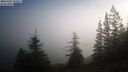 ./images/quadra/bluff/20260205/bluff20260205_103501M.jpg