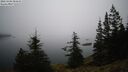 ./images/quadra/bluff/20260208/bluff20260208_084501M.jpg