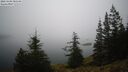 ./images/quadra/bluff/20260208/bluff20260208_085501M.jpg