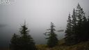 ./images/quadra/bluff/20260208/bluff20260208_090001M.jpg