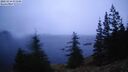 ./images/quadra/bluff/20260216/bluff20260216_073001M.jpg