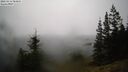 ./images/quadra/bluff/20260216/bluff20260216_084001M.jpg