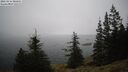 ./images/quadra/bluff/20260216/bluff20260216_085002M.jpg