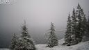 ./images/quadra/bluff/20260216/bluff20260216_093002M.jpg
