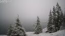./images/quadra/bluff/20260216/bluff20260216_093501M.jpg