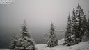 ./images/quadra/bluff/20260216/bluff20260216_094001M.jpg