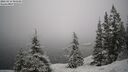 ./images/quadra/bluff/20260216/bluff20260216_094501M.jpg