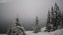 ./images/quadra/bluff/20260216/bluff20260216_095501M.jpg