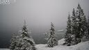 ./images/quadra/bluff/20260216/bluff20260216_100001M.jpg