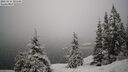 ./images/quadra/bluff/20260216/bluff20260216_100501M.jpg