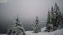 ./images/quadra/bluff/20260216/bluff20260216_101001M.jpg