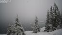 ./images/quadra/bluff/20260216/bluff20260216_101501M.jpg