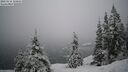 ./images/quadra/bluff/20260216/bluff20260216_102002M.jpg