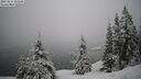 ./images/quadra/bluff/20260216/bluff20260216_102501M.jpg