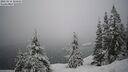 ./images/quadra/bluff/20260216/bluff20260216_103001M.jpg