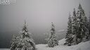 ./images/quadra/bluff/20260216/bluff20260216_103501M.jpg