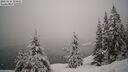 ./images/quadra/bluff/20260216/bluff20260216_104001M.jpg