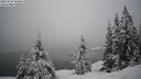 ./images/quadra/bluff/20260216/bluff20260216_104501M.jpg