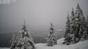 ./images/quadra/bluff/20260216/bluff20260216_105001M.jpg