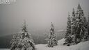 ./images/quadra/bluff/20260216/bluff20260216_105501M.jpg